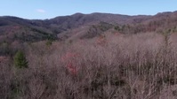 Mountain Men S12E01 720p HEVC x265-MeGusta EZTV