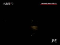 Live PD S03E39 iNTERNAL 480p x264-mSD [eztv]