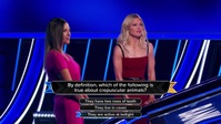 The Chase US S02E13 720p HEVC x265-MeGusta EZTV The Chase US S02E13 720p HEVC x265-MeGusta EZTV