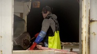 Ice Cold Catch S01E04 XviD-AFG EZTV