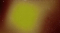 Nature Gone Wild S01E06 XviD-AFG EZTV