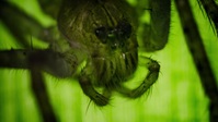 Super Natural S01E02 720p HEVC x265-MeGusta EZTV