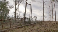 Homegrown S01 DSCP WEBRip x264-ION10 EZTV