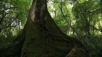 Equators Wild Secrets S01E02 1080p HEVC x265-MeGusta EZTV Equators Wild Secrets S01E02 1080p HEVC x265-MeGusta EZTV