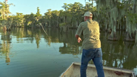 Swamp People S15E12 XviD-AFG EZTV