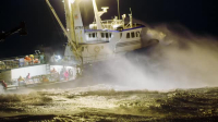 Deadliest Catch S20E14 XviD-AFG EZTV Deadliest Catch S20E14 XviD-AFG EZTV