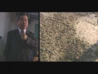 Blueprint For Disaster 6of6 The Sampoong Collapse XviD EZTV