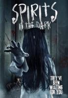Spirits In The Dark 2020 HDRip XviD AC3-EVO