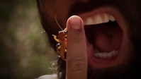 Kings of Pain S02E06 XviD-AFG EZTV Kings of Pain S02E06 XviD-AFG EZTV