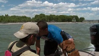 Yellowstone Wardens S01E02 XviD-AFG EZTV