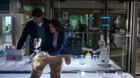 CSI Vegas S02E02 720p HEVC x265-MeGusta EZTV