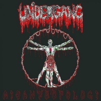 Undergang (Dnk) - Misantropologi (2017) [mp3@320] [Death Metal]