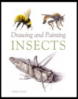 Drawing and Painting Insects-Andrew Tyzack Drawing and Painting Insects-Andrew Tyzack