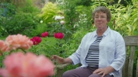 Gardeners World S53E05 XviD-AFG EZTV