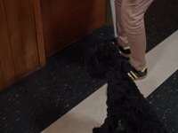 Barkley Manor S02E09 480p x264-mSD EZTV