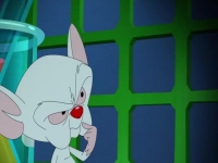 Animaniacs 2020 S01E01 480p x264-mSD EZTV