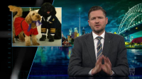 The Weekly With Charlie Pickering S10E06 XviD-AFG EZTV The Weekly With Charlie Pickering S10E06 XviD-AFG EZTV