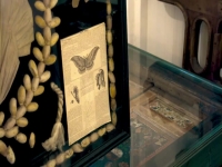 Salvage Hunters S15E07 480p x264-mSD EZTV