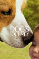 A Dogs Journey 2019 720p WEBRip 800MB x264-GalaxyRG