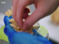 Great British Menu S15E21 480p x264-mSD EZTV