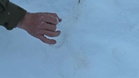 Mountain Men S11E06 XviD-AFG EZTV