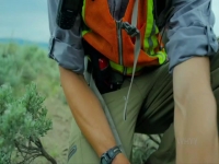 The Age of Nature S01E02 Understanding 480p x264-mSD EZTV