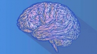 Udemy | Neuroscience Synthesis To Rewire Your Brain [FTU]