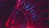 Deep Ocean S01E02 Lights In The Abyss XviD-AFG EZTV