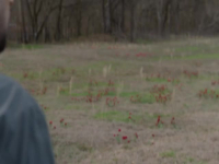 Found 2023 S01E12 480p x264-mSD EZTV