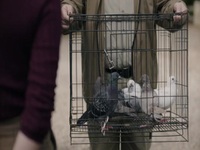 Ghosts 2021 S01E10 480p x264-mSD EZTV Ghosts 2021 S01E10 480p x264-mSD EZTV