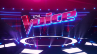 The Voice S26E16 720p HEVC x265-MeGusta EZTV The Voice S26E16 720p HEVC x265-MeGusta EZTV