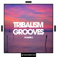 VA - Tribalism Grooves Vol.2 (2019)
