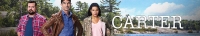 Carter S02E05 HDTV x264-CROOKS[TGx]