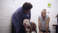 Outback Vet S01E01 720p HEVC x265-MeGusta EZTV Outback Vet S01E01 720p HEVC x265-MeGusta EZTV