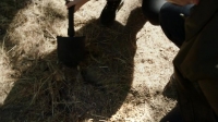 NCIS S15E08 HDTV x264-LOL[eztv]