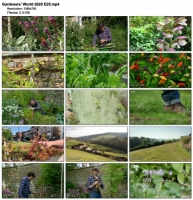 Gardeners' World 2020 E25 (1280x720p HD, 50fps, soft Eng subs)