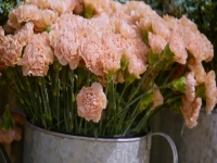 Full Bloom S01E01 480p x264-mSD EZTV