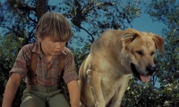 Old Yeller (1957) (1080 10bit x265) Burdock