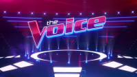 The Voice S24E07 XviD-AFG EZTV The Voice S24E07 XviD-AFG EZTV