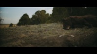 Outer Range S01E05 720p HEVC x265-MeGusta EZTV