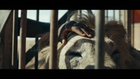Colosseum S01E03 720p HEVC x265-MeGusta EZTV Colosseum S01E03 720p HEVC x265-MeGusta EZTV