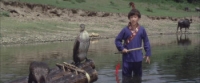 Kids from Shaolin (1984) [720p] [BluRay] [YTS] [YIFY]