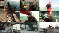 Alaska Fish Wars S01E03 Jackpot 720p HDTV x264-W4F