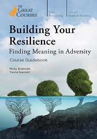Building Your Resilience - Finding Meaning in Adversity Building Your Resilience - Finding Meaning in Adversity