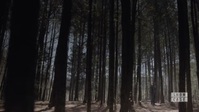 Legacies S03E14 720p HEVC x265-MeGusta EZTV