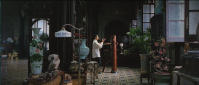 Ip Man 2008 SPANiSH 1080p BluRay x264-dem3nt3