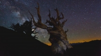 TimeScapes (2012) 2160p SDR x265 Phun Psyz