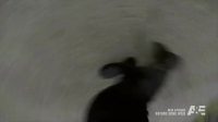 Nature Gone Wild S01E01 Run Bro Run XviD-AFG EZTV Nature Gone Wild S01E01 Run Bro Run XviD-AFG EZTV