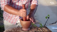 Destination Flavour Down Under S01E01 XviD-AFG EZTV