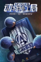 Spycies 2019 720p WEBRip 800MB x264-GalaxyRG